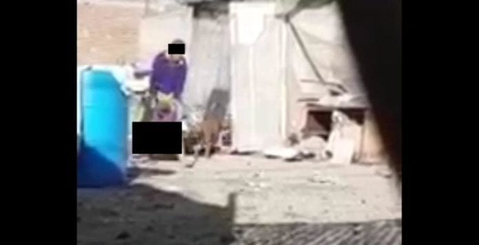 Un sujeto fue detenido por la Policía luego de que fuera grabado cuando intentaba abusar de una joven en el patio de su vivienda