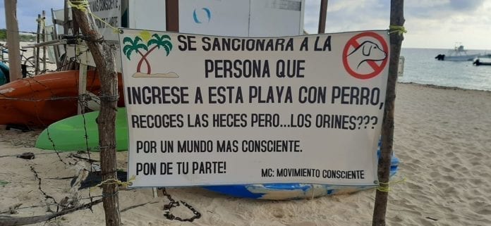 ¡Rechazan a los perritos! Cuelgan manta para prohibirles el acceso a Coco Beach