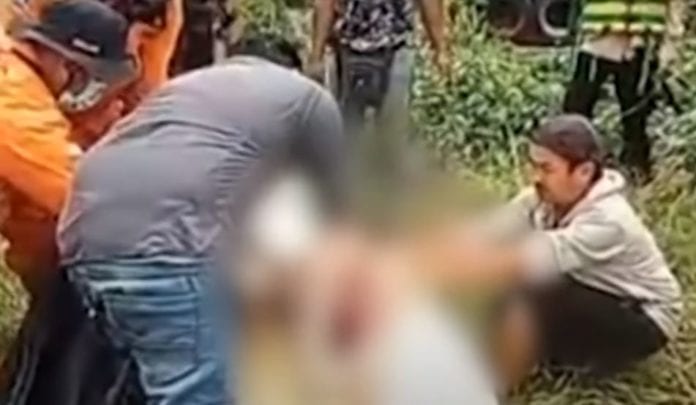 Video: Cocodrilo se come a un niño de 8 años y le abren estómago para sacar el cadáver