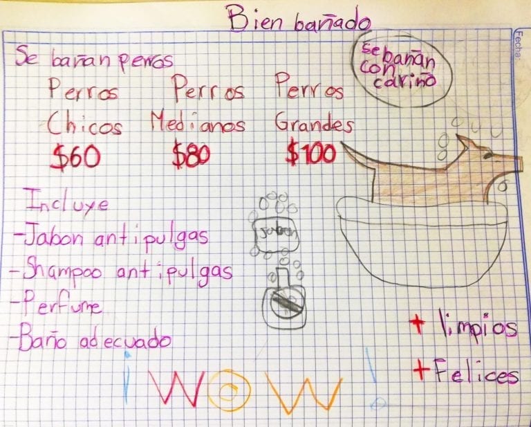 Niño de 7 años tiene su propio negocio de bañar perros en NL, lo promociona con dibujos