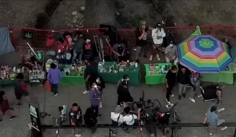 Instalan tianguis de marihuana fuera de la Cámara de Diputados