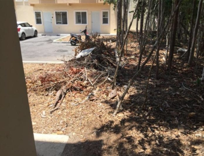 Denuncian vecinos de Jardines de Mayakoba inseguridad, deficiencias y fraudes
