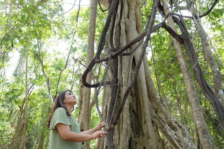 Garantizar el aprovechamiento de los recursos naturales, propone Blanca Merari