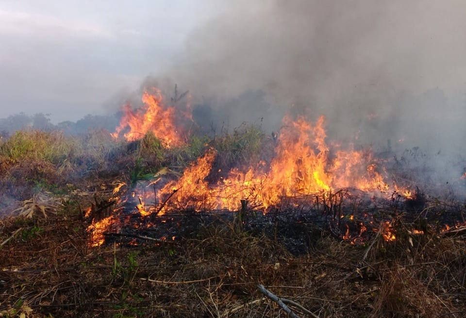 Hasta el momento se reportan 9 incendios forestales con afectaciones de 97 hectáreas