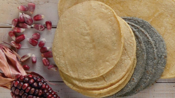 De continuar 'mafia del maíz', empresarios de la masa y la tortilla no podrán contener alza