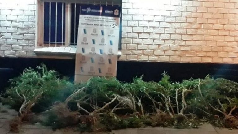 Joven muere electrocutado tras intentar salvar a un niño, entró a una plantación electrificada