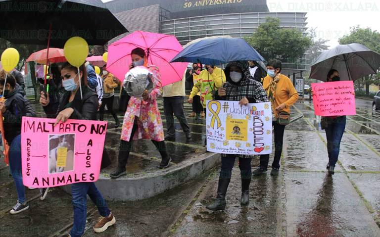 Se manifiestan en el país por el asesinato del perrito Rodolfo