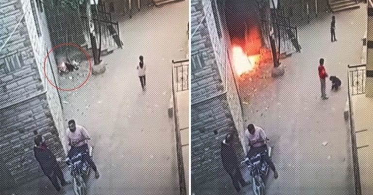 Video: Gato negro se acerca a un basurero y al parecer provoca un incendio