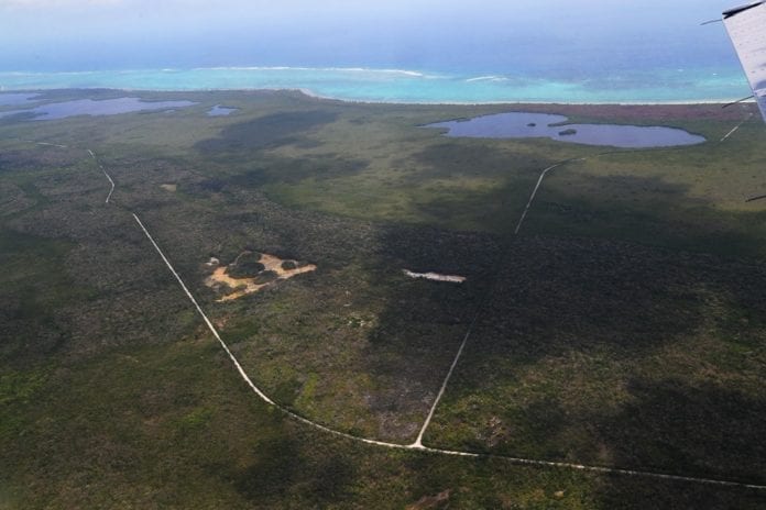 Gobierno de Quintana Roo reporta cinco incendios forestales en geografía estatal