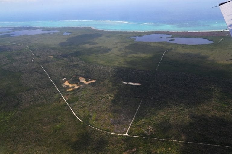 Gobierno de Quintana Roo reporta cinco incendios forestales en geografía estatal