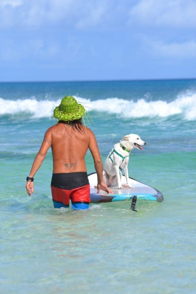Escuela Cozumel Surfing