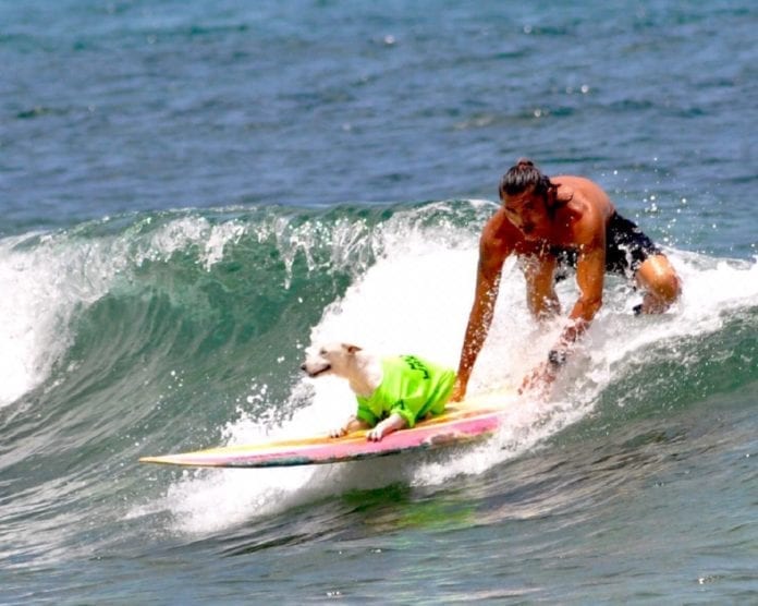 VIDEO: Así disfruta 