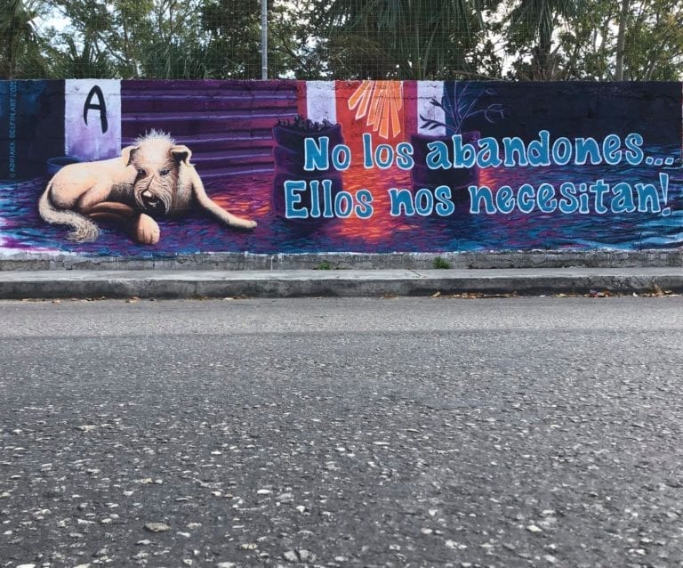 Artista urbana dedica mural a Chaak y a perritos en desamparo
