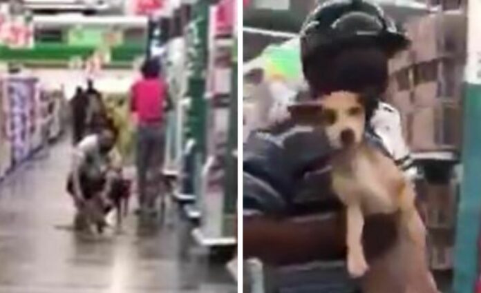 VIDEO: Perrito burla la seguridad de supermercado de Cancún para seguir a su dueño