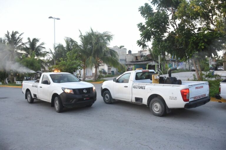 Continúan en Tulum las fumigaciones en comunidades para erradicar mosquitos