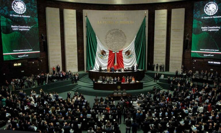 Conoce a las primeras mujeres trans que llegarán al Congreso como diputadas federales