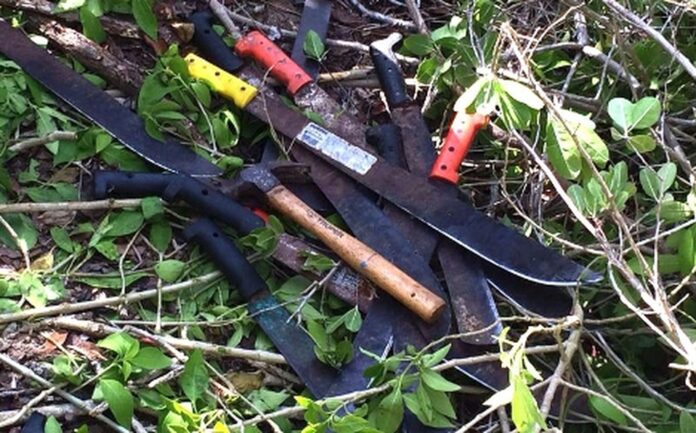 Hombre agrede con su pareja a machetazos a sus padres para adueñarse de un terreno