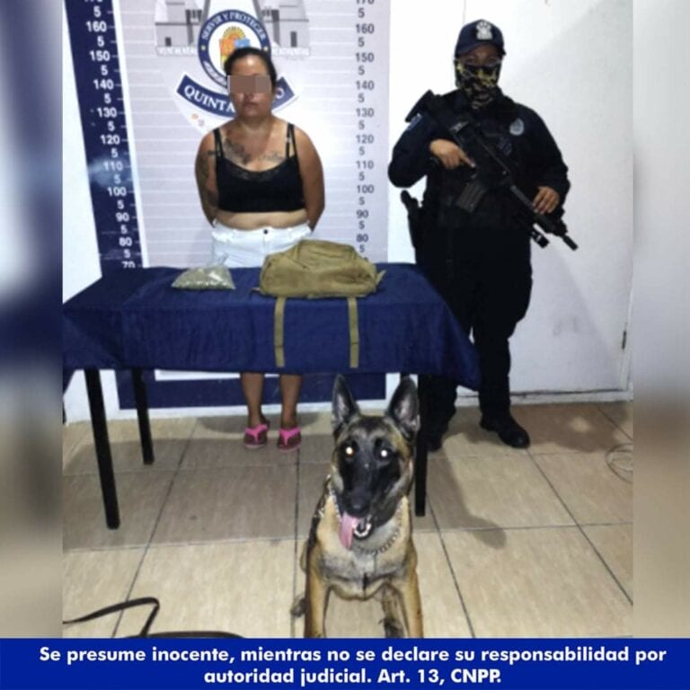 Unidad Canina detecta a una mujer en Playa del Carmen que llevaba una bolsa con marihuana