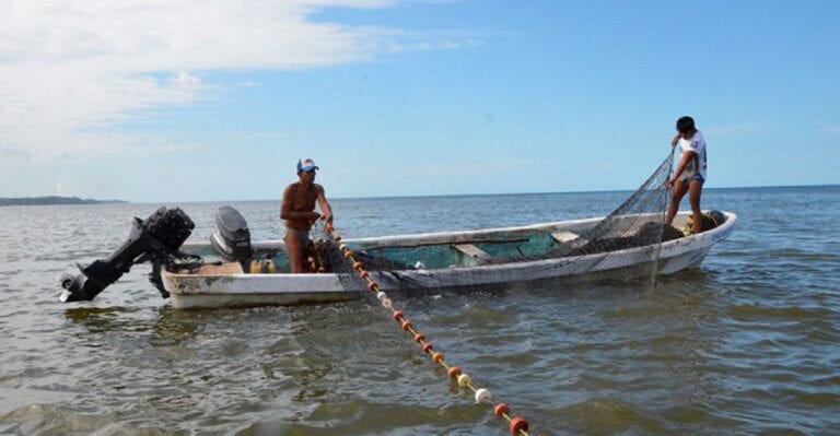 En estos tiempos en los cuales la búsqueda de productos y servicios con un alto contenido de sostenibilidad; los pescados y mariscos ya sean de captura o cultivados en granjas acuícolas están a la orden del día.