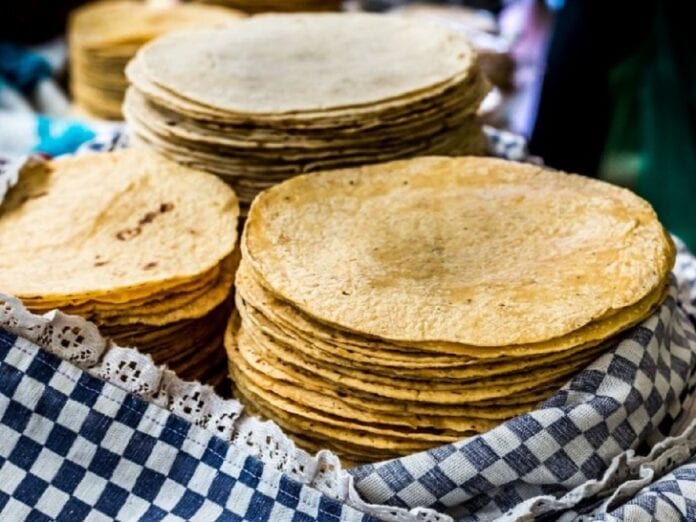 Urgente llamado a Profeco: alza de insumos provocará encarecimiento histórico de la tortilla