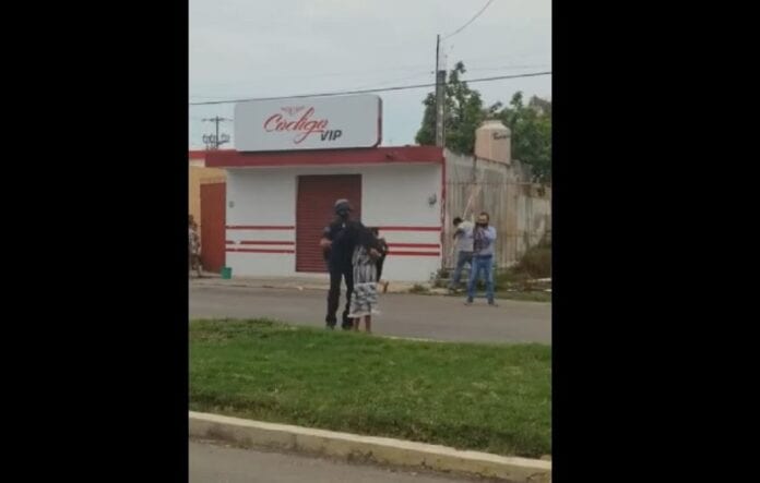 Abejas africanizadas atacan en Chetumal