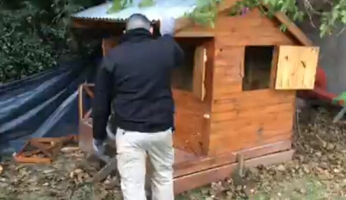 Con oficinas y ventilación: Narcotraficante arma búnker debajo de casa de juguete