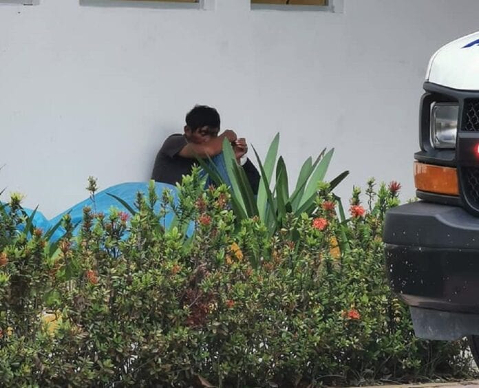 Amor playense incondicional: a 