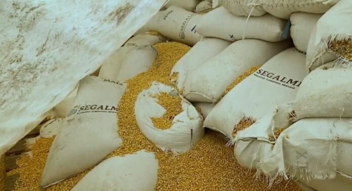 Toneladas de maíz se pierden en Chiapas y lo venden en Guatemala, pertenecen a Selgamex