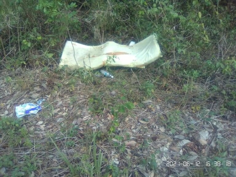 El cuerpo sin vida de una mujer embarazada fue encontrado este día en Bacalar; ya se investigan las causas de este presunto feminicidio