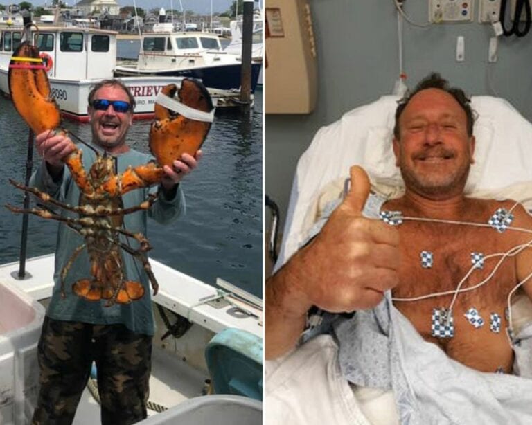 Ballena se ‘traga’ a un pescador y luego lo escupe, logró sobrevivir