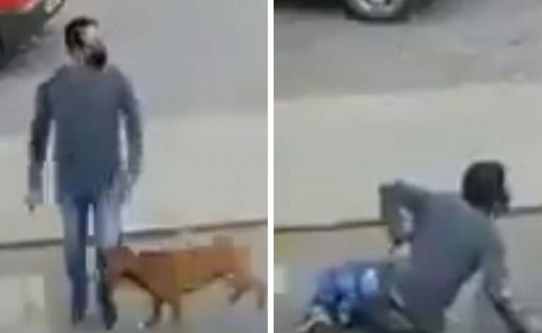 Video: Perrito ‘atropella’ a un hombre en la calle y se vuelve viral
