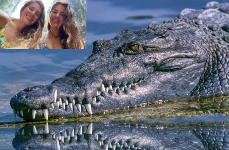 Cocodrilo ataca a turistas durante tour; se metieron a nadar pese a advertencias