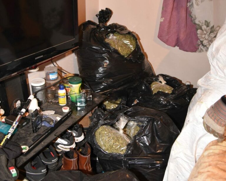 Niña de 3 años muere encerrada en un coche, su mamá se fue a cuidar una siembra de cannabis