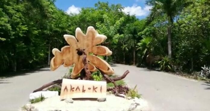 Catean centro holístico en Bacalar ligado a Ricardo Ponce, coach espiritual acusado de abuso sexual