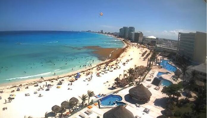 FOTOS: Playas de Cancún pierden su característico color azul turquesa por el sargazo