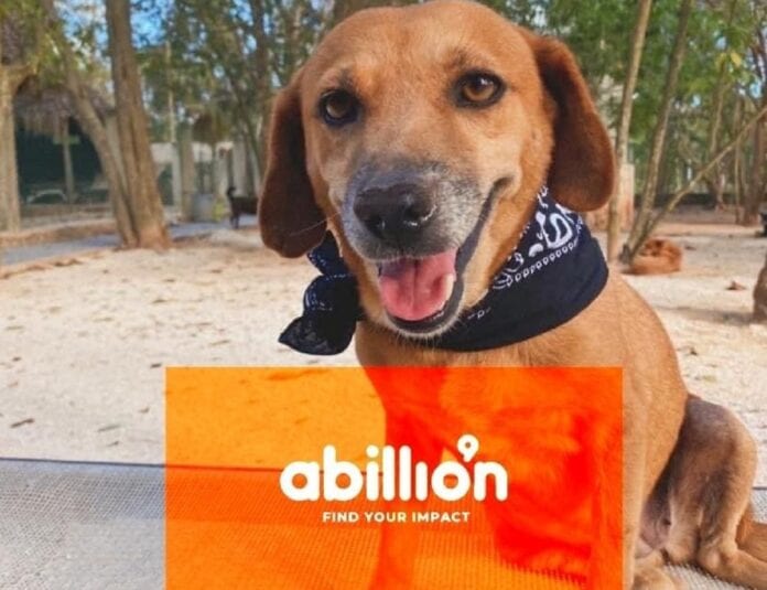 Es tu oportunidad de ayudar gratis a Tierra de Animales: solo haz reseñas en ABILLION