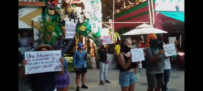 Un grupo de personas se manifestaron este fin de semana en la Quinta Avenida frente al local denominado Animalandia