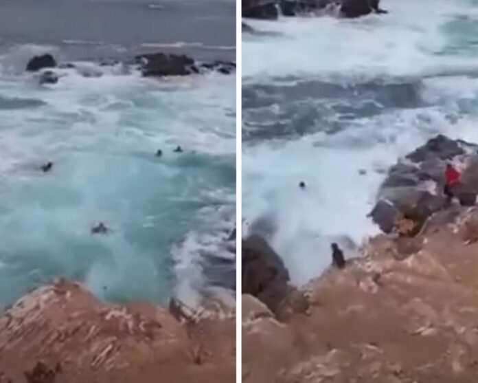 VIDEO: Turistas son arrastrados al mar por una ola en Baja California