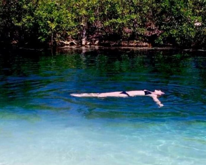 Multimillonario Jeff Bezos y la WWF anuncian proyecto para restaurar manglares de Q.Roo