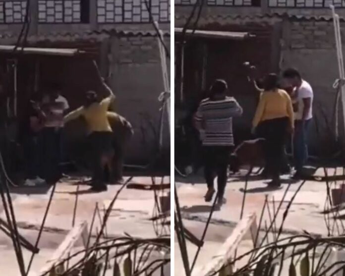 VIDEO: Familia completa asesina a perrito amarrado a una cadena, se 'turnaban' para pegarle