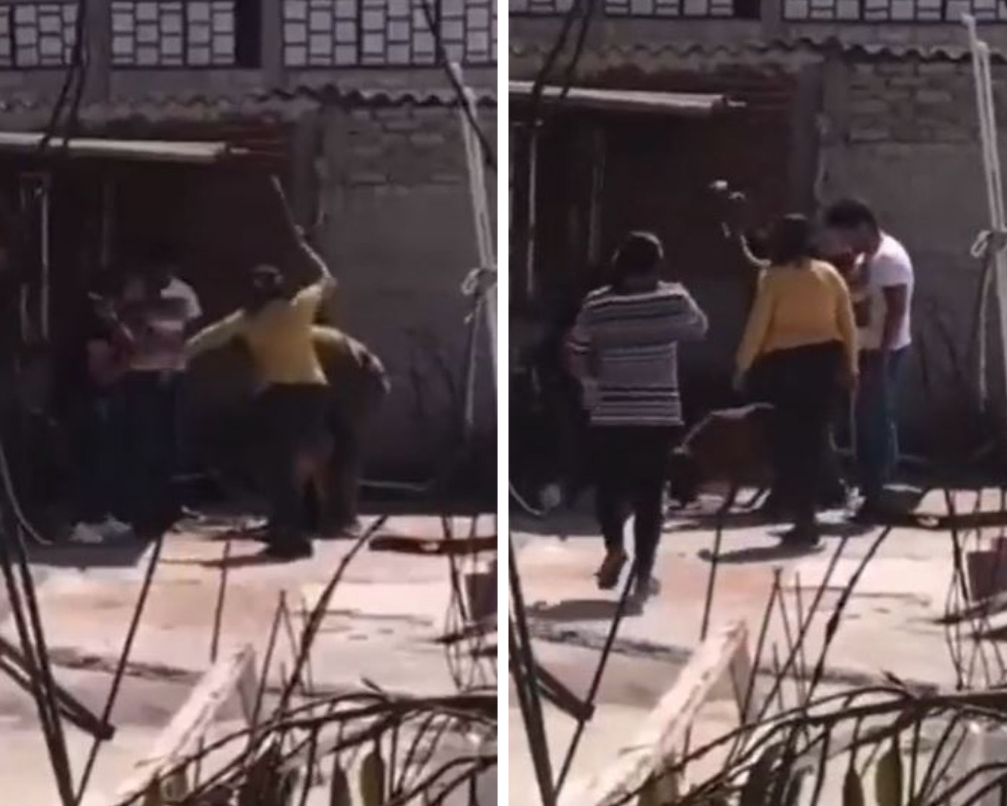 VIDEO: Familia completa asesina a perrito amarrado a una cadena, se 'turnaban' para pegarle