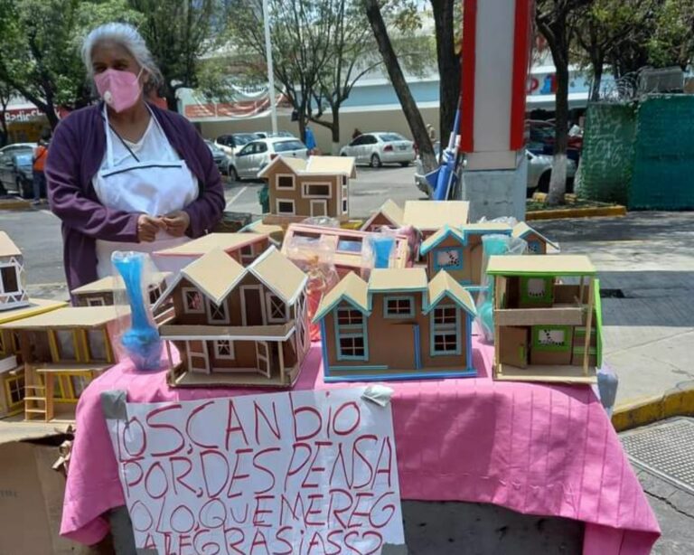¡Conmovedor! Abuelita cambia casitas de cartón que hace a cambio de despensa
