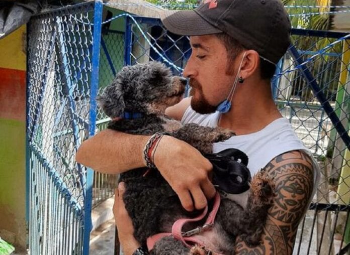 Animalistas cozumeleños brindarán esterilización canina gratuita ¡Necesitan tu apoyo!