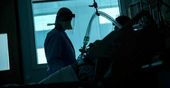 En China se ha confirmado un caso del llamado virus del mono; se trata de un veterinario, quien lamentablemente terminó perdiendo la vida