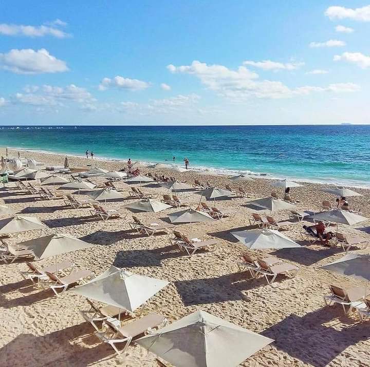 ¡AL FIN! Amanece Playa del Carmen SIN SARGAZO