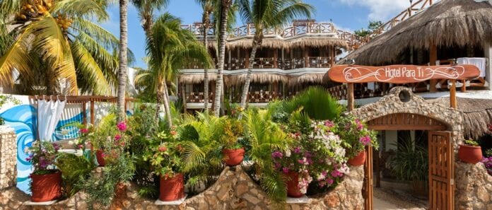 Playenses realizan hoy jornada para cambiar desechos reciclables por plantas en Holbox OK