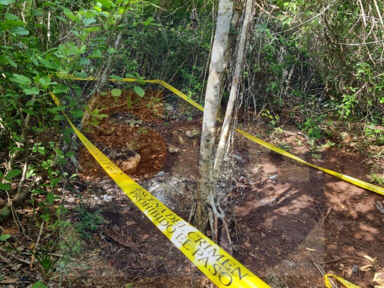 Se hallaron más restos humanos en fosas clandestinas en la zona norte de Quintana Roo; se suman a los hallazgos presentados recientemente