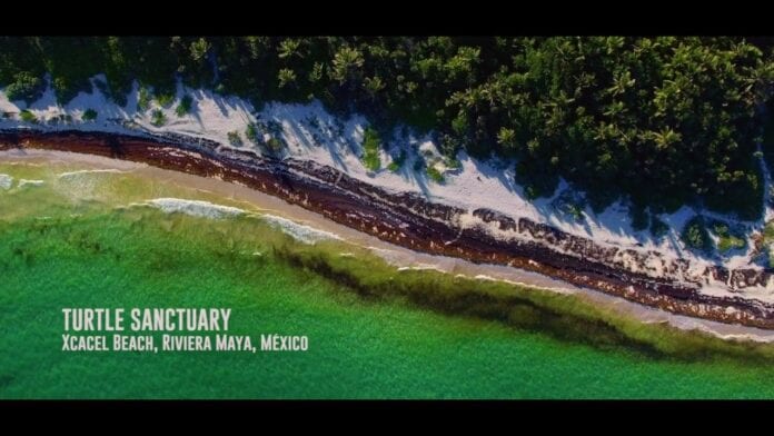 Cortometraje playense 