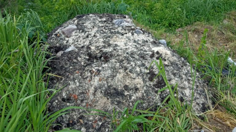 Denuncian tiradero clandestino de arena y sargazo en Cancún