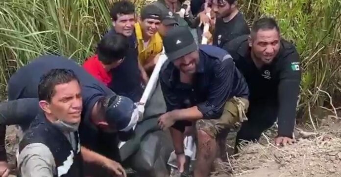Ambientalistas encabezados por Arturo Islas ayudaron en el rescate de dos delfines, quienes estaban atorados en un drenaje en Sinaloa